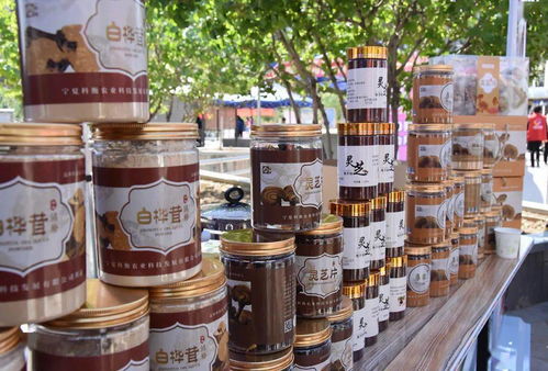 巾幗展風采，服務暖人心——銀川市巾幗家政服務暨巾幗助力扶貧展示進社區活動正式啟動